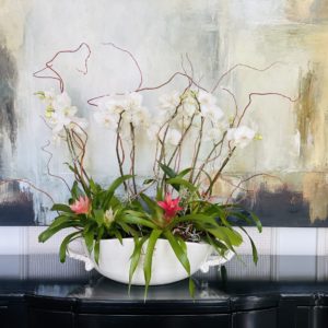 Potted orchid for a grand statement with willow branches and bromeliads