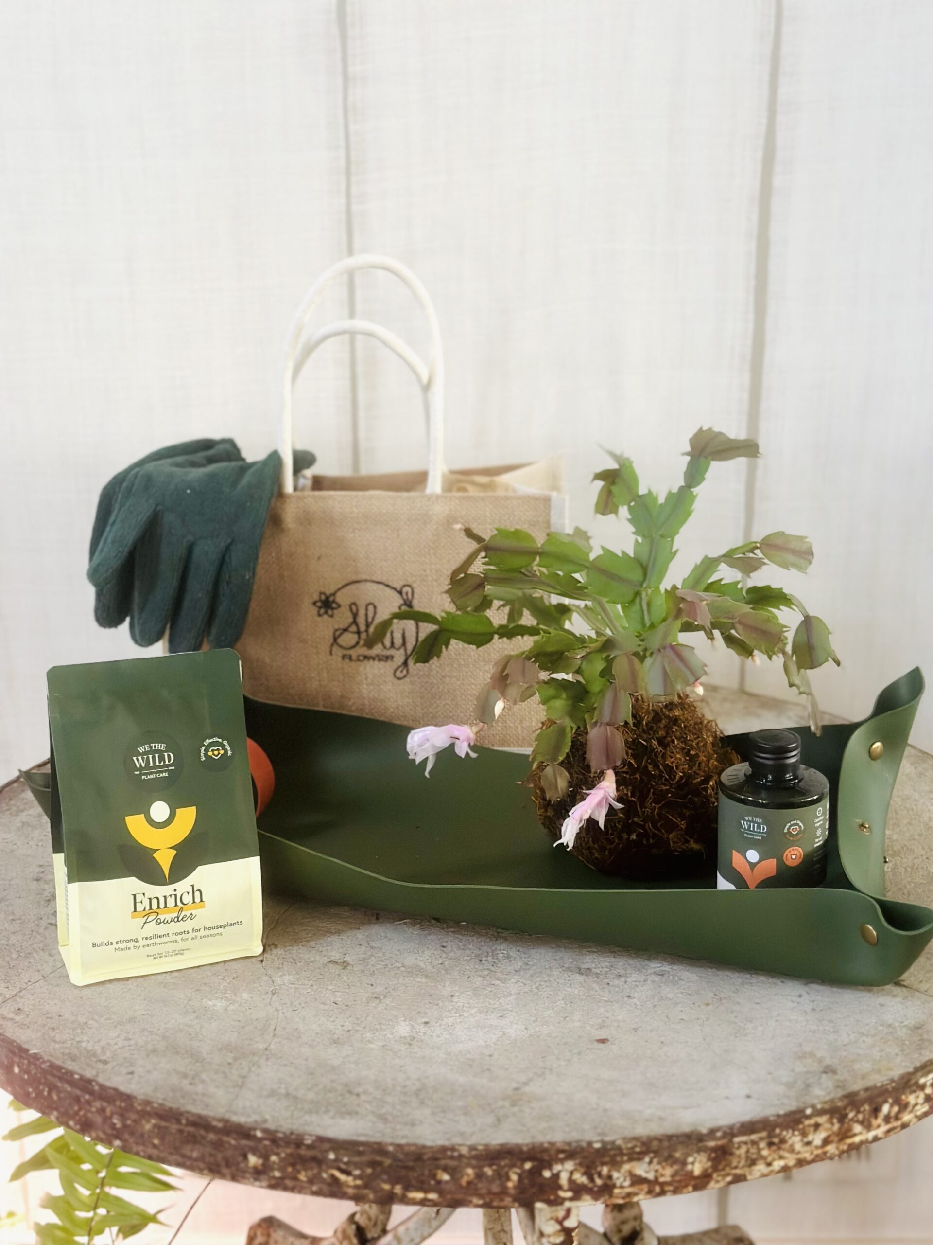 Budding Gardener Kit